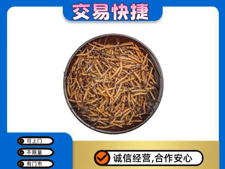 怀化洪江市礼品回收虫草.jpg